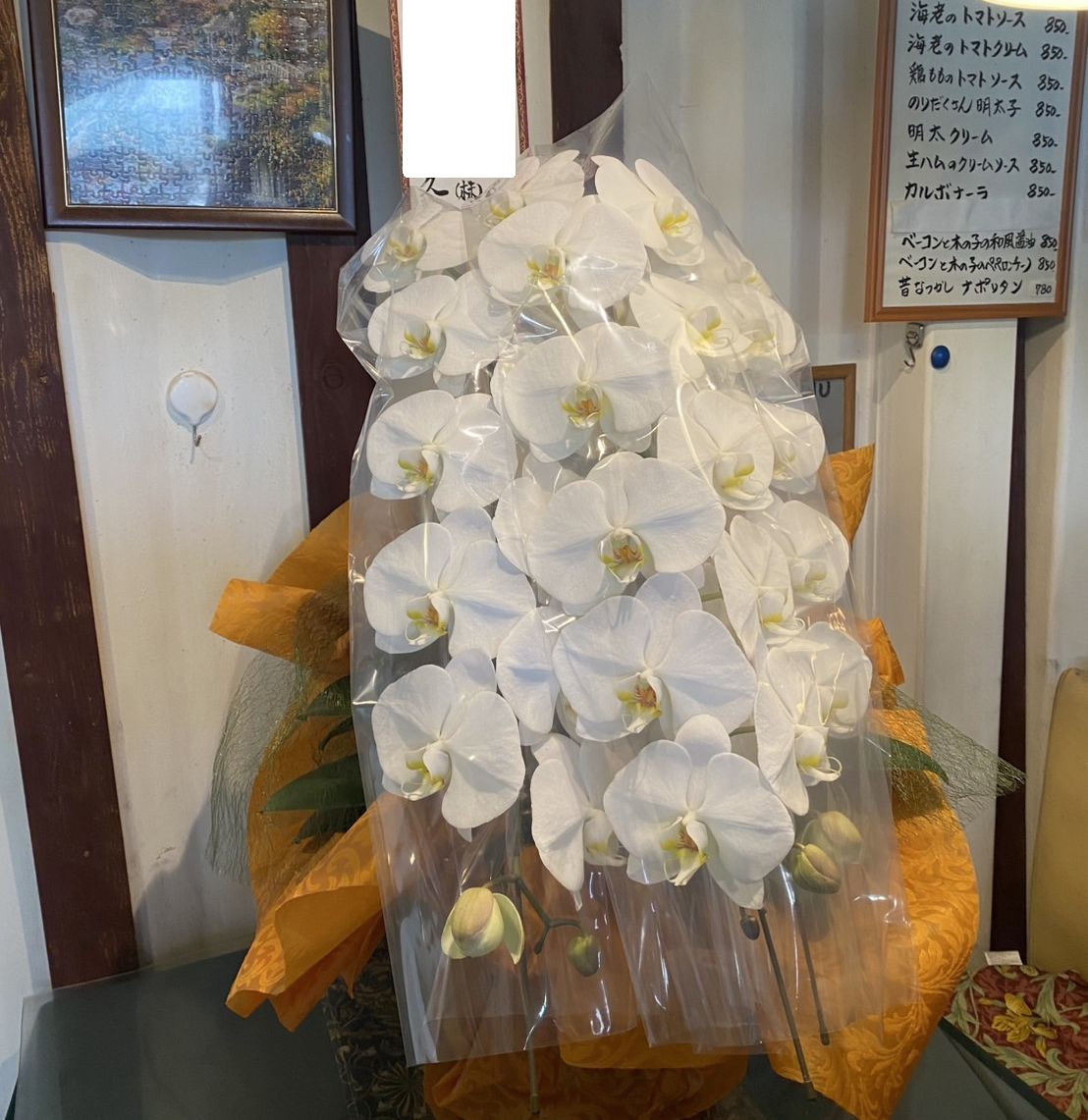 新工場竣工祝いの胡蝶蘭